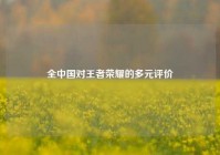 全中国对王者荣耀的多元评价