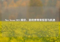 Nier Steam 2021 降价，游戏界带来惊喜与机遇