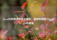 Steam扫码登录教程全解析，教你如何进行Steam扫码登录