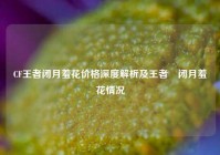 CF王者闭月羞花价格深度解析及王者曈闭月羞花情况