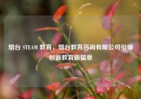 烟台 STEAM 教育，烟台教育咨询有限公司引领创新教育新篇章