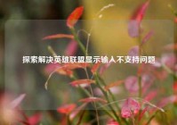 探索解决英雄联盟显示输入不支持问题