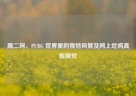 周二珂，PUBG 世界里的独特风景及网上吃鸡真假探究