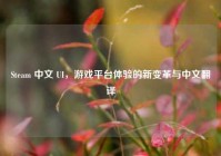 Steam 中文 UI，游戏平台体验的新变革与中文翻译