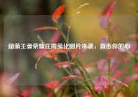 超萌王者荣耀庄周萌化图片来袭，直击你的心