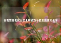 王者荣耀名纹出装全解析及十套主流铭文名字