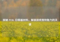 探秘 PUBG 日韩服材料，解锁游戏独特魅力的关键