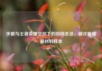 步数与王者荣耀交织下的别样生活，被诈骗报案材料样本