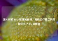 深入解析 Pubg 管理器进程，游戏运行背后的关键环节 PUBG 管理器