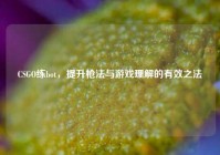 CSGO练bot，提升枪法与游戏理解的有效之法
