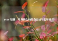 PUBG 联赛，电竞舞台的热血激战与名称探寻