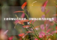 王者荣耀钻石岛皮肤，闪耀峡谷魅力及获取方式