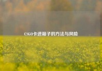 CSGO卡进箱子的方法与风险