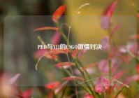 PDD与YJJ的CSGO激情对决