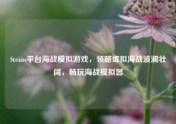 Steam平台海战模拟游戏，领略虚拟海战波澜壮阔，畅玩海战模拟器