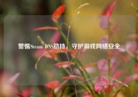 警惕Steam DNS劫持，守护游戏网络安全