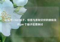 200 元开 CSGO 箱子，惊喜与未知交织的冒险及开 200 个箱子花费探讨