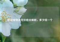 逆战宠物灵龙价格全解析，多少钱一个