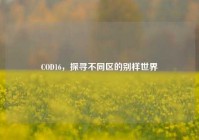 COD16，探寻不同区的别样世界