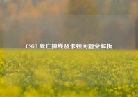 CSGO 死亡掉线及卡顿问题全解析