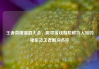 王者荣耀漏洞大全，探寻游戏背后鲜为人知的秘密及王者漏洞名称