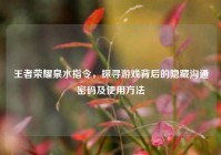 王者荣耀泉水指令，探寻游戏背后的隐藏沟通密码及使用方法