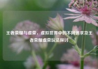 王者荣耀与虚荣，虚拟世界中的不同追求及王者荣耀虚荣玩法探讨