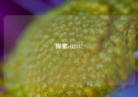 探索cf12347
