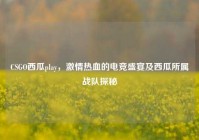 CSGO西瓜play，激情热血的电竞盛宴及西瓜所属战队探秘