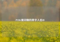 PUBG里闪耀的单字人名ID