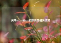 关于Steam被Ban的影响及相关情况
