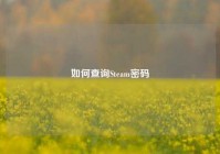 如何查询Steam密码