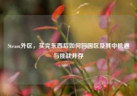 Steam外区，买完东西后如何回国区及其中机遇与挑战并存