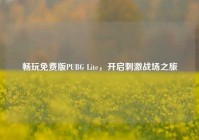 畅玩免费版PUBG Lite，开启刺激战场之旅