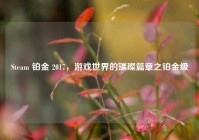 Steam 铂金 2017，游戏世界的璀璨篇章之铂金级