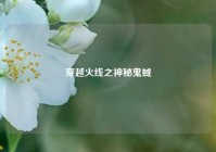 穿越火线之神秘鬼蜮