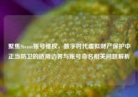 聚焦Steam账号维权，数字时代虚拟财产保护中正当防卫的适用边界与账号命名相关问题解析
