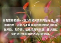 王者荣耀云缨BGM魅力与相关奖励网站介绍，需提醒的是，非官方正规渠道的奖励网站可能存在风险，如诈骗、信息泄露等问题，建议通过官方途径参与游戏活动获取奖励。
