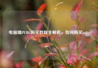 电脑端PUBG购买教程全解析，如何购买pubg