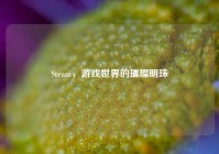 Steam，游戏世界的璀璨明珠