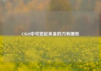 CSGO中可竖起来拿的刀有哪些
