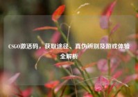 CSGO激活码，获取途径、真伪辨别及游戏体验全解析