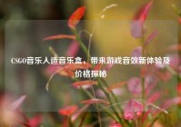 CSGO音乐人造音乐盒，带来游戏音效新体验及价格探秘
