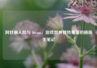阿甘疯人院与 Steam，游戏世界独特角落的杨医生笔记