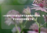 CSGO游戏文件备份迁移与录像保存全攻略，手把手教你告别重复下载！