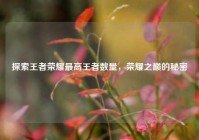探索王者荣耀最高王者数量，荣耀之巅的秘密