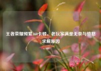 王者荣耀频繁460卡顿，老玩家满是无奈与愤怒求解原因