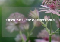 王者荣耀小小丁，独特魅力与游戏印记揭秘