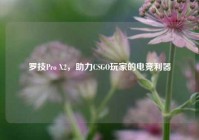 罗技Pro X2，助力CSGO玩家的电竞利器