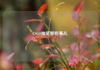 CSGO抽奖那些事儿